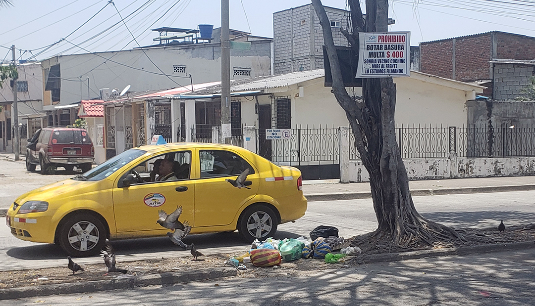 Hasta Es La Multa Por Sacar La Basura Fuera Del Horario