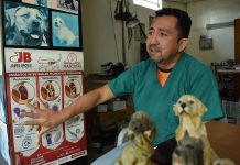 El dormir con perros, más que amor, un alto riesgo para humanos