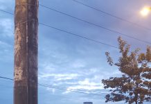 El ícono de La Atarazana visto en diferentes momentos