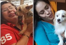 ‘Coco’ y ‘Blaky’, dos historias similares con un final feliz