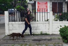 Heces caninas ponen en riesgo la salud de los atarazaneños