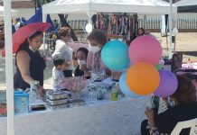 Comercio y shows en ferias de la Naval Norte y La FAE