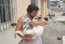 Max, el can con discapacidad de La FAE, está en casa otra vez