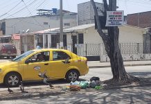 Hasta $ 531 es la multa por sacar la basura fuera del horario