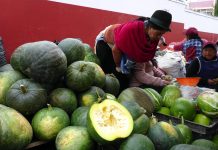 Ambato, eterna proveedora de insumos para la fanesca