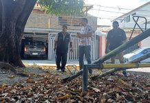 Diez parques de la FAE serán intervenidos