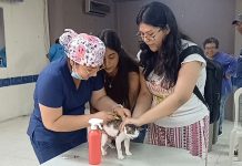 Canes y felinos fueron inmunizados