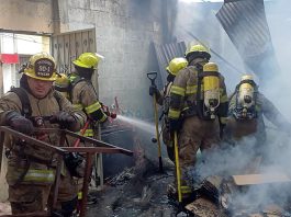 Fuego en bodega de reciclaje del Campos Coello